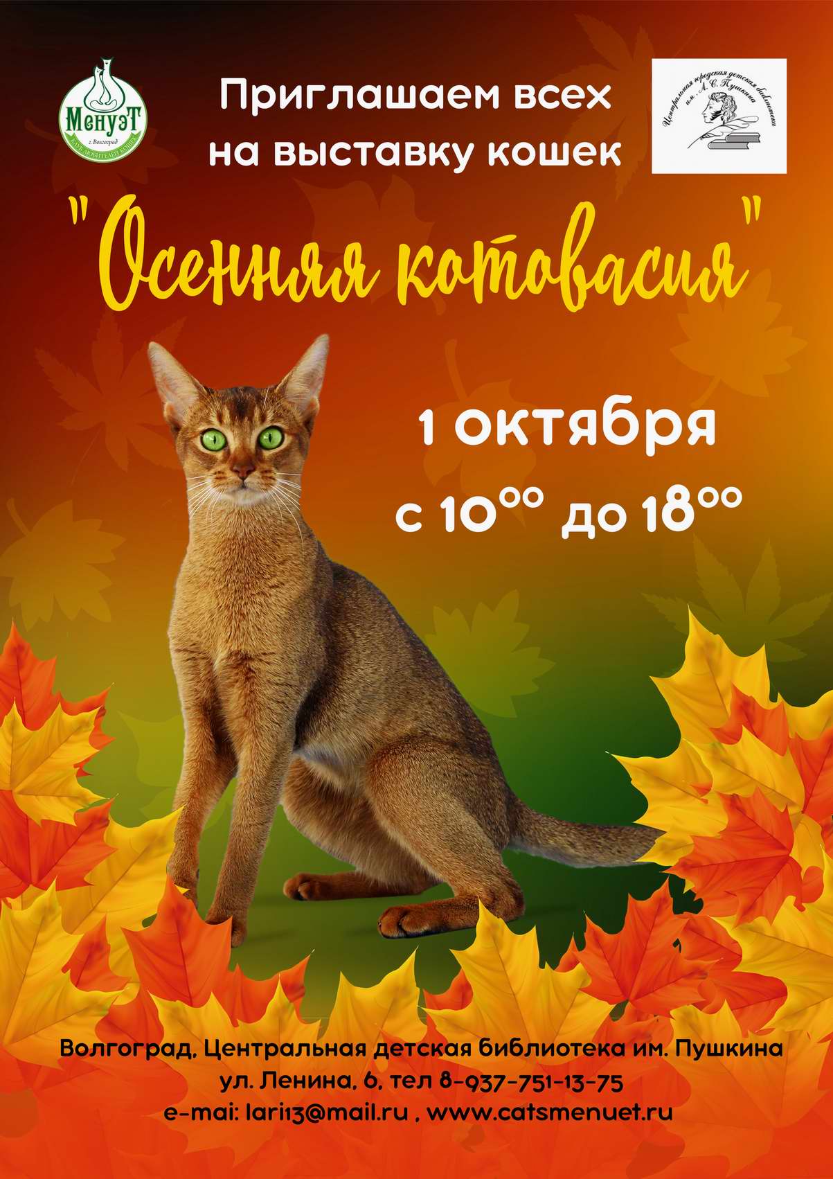 Национальная выставка кошек Осення котовасия Волгоград